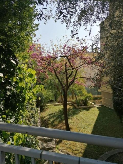 Villa Soraya , Quiet Location With Big Garden Near Beach And Old Town Of Nice Eksteriør billede