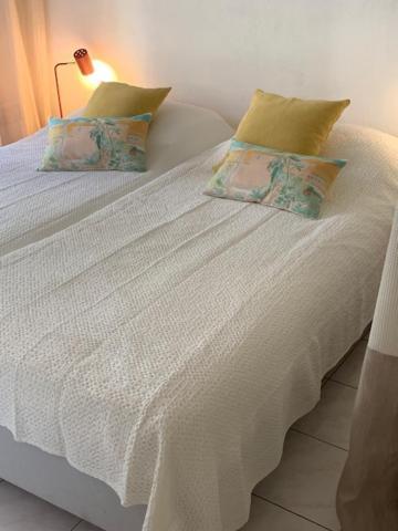 Villa Soraya , Quiet Location With Big Garden Near Beach And Old Town Of Nice Eksteriør billede